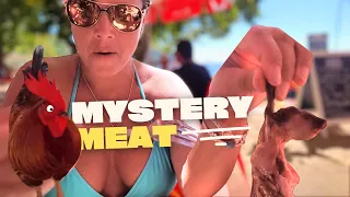 Tastes Like CHICKEN?😳Beach Bar SPECIAL