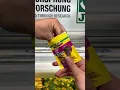 Download Lagu 🐟🧆 JBL PRONOVO DANIO GRANO - Granulated staple food for all small barbs \u0026 danionins #shorts #meinjbl