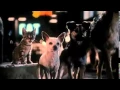 Babe Pig in the City Trailer - Mickey Rooney Movie 1998