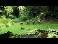 Download Lagu Swachh Bharat mission (Dala shafa )@dia gadia