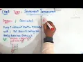 Statement Terminator ch 2nd year