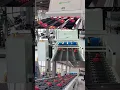 dragon fruit optical sorting grading machine fruit vision sorting line fresh product processing
