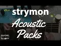 Download Lagu Strymon Timeline and Big Sky Acoustic Packs | Guitar for HIS GLORY