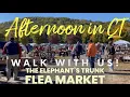 Elephants trunk flea market thrifting New Milford CT Connecticut