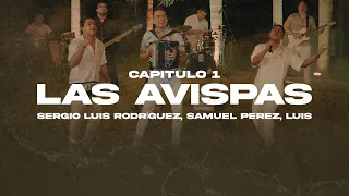 Download Las Avispas - Sergio Luis Rodríguez, Samuel Perez , LUIS - #Elegidos MP3