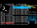 localhost Termux