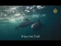 One of the Best Azan you will Ever Hear