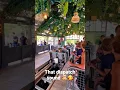 Download Lagu That Dispatch Sound 🤯 #untamed #walibiholland