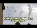 Suara Walet Pemakaian pribadi, Berkah barokah Akhir Tahun !! Sukses 2023