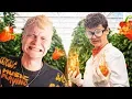 Download Lagu BOZE PROFESSOR VERNIETIGT ALLE RODE PAPRIKA'S - Project P #2 | Opscheppers