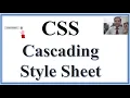 CSS Cascading Style Sheets Std 12 Chapter 2