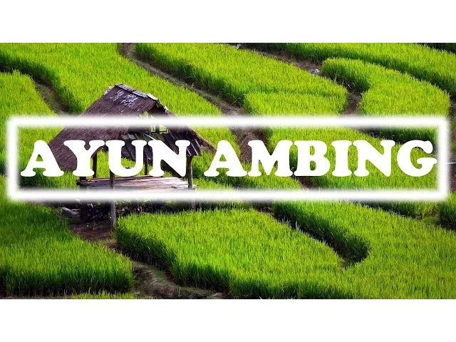 Download MP3 [AYUN AMBING] SUNDANESE INSTRUMENTALIA | DEGUNG SUNDA | INDONESIAN TRADITIONAL MUSIC