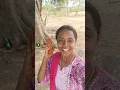 Download Lagu 💕🌳❤#Chintha Chettu needa 🌳❤💕#folk_song #viral #trending #shortsyoutube