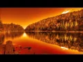 Hollow Coves - The Woods (Ghosts Remix)