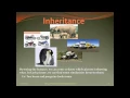 Oops concepts in java Core Java Trainiing Object Oriented Concepts