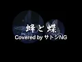 蜂と蝶 / SOUL SCREAM / Lyric  video / 歌詞付き / 歌ってみた【Covered by サトシNG】