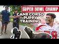 SUPERBOWL CHAMPION vs CANE CORSO What could go wrong