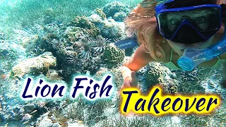 SDA85 Lion Fish Takeover