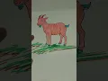 how to color simple goat drawing
