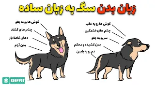 سگم چی میخواد بهم بگه زبان بدن سگ به زبان ساده 