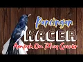Pancingan Kacer Agar Emosi Langsung Buka Ekor