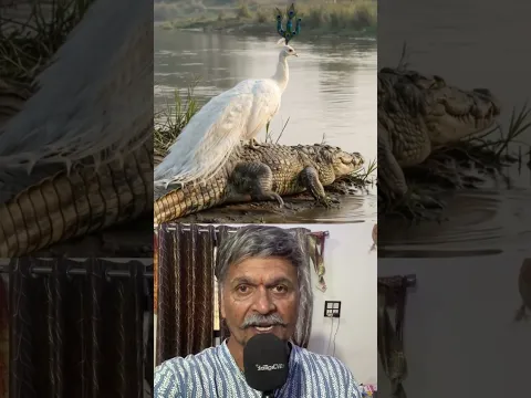 यह देखना बहुत शुभ है। 😱 #shorts #ytshorts
