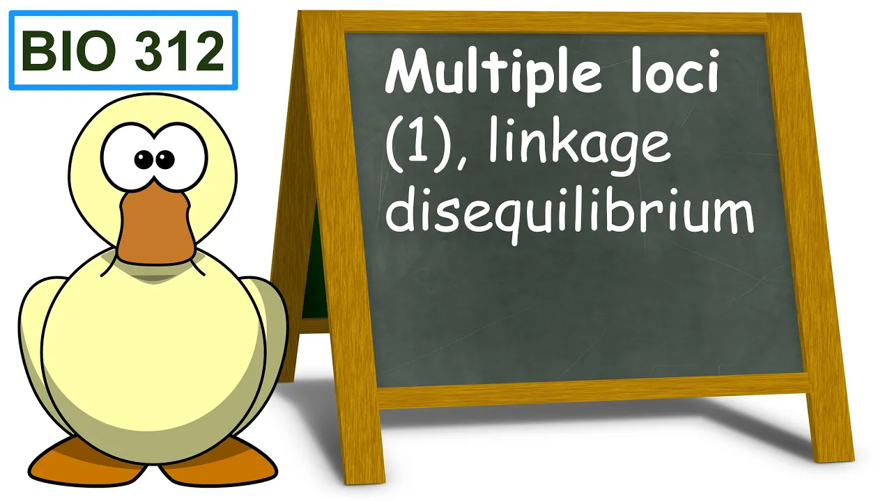 Multiple loci (1), linkage disequilibrium.