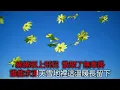 飛花 (李克勤) - 卡拉OK (精準導唱/大眾 Key/高清音源)