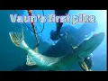 Idaho Spearfishing pike
