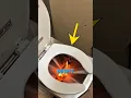 Download Lagu This Toilet Burns Your Waste #shorts