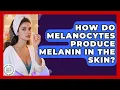 How Do Melanocytes Produce Melanin in the Skin Healthy Skin Brief News