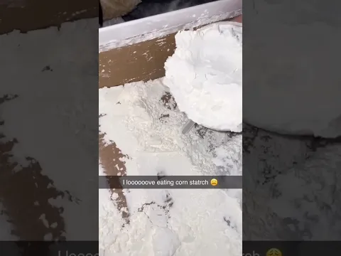 I LOVE EATING CORNSTARCH PT2 #shorts #viral #cornstarch #youtubeshorts