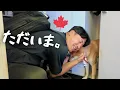 Download Lagu [Reunion] Routine for a Japanese living overseas returning to their home in Canada