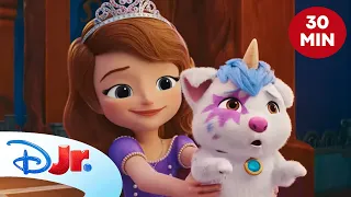 🌟 Królewskie czary | Jej Wysokość Zosia & Blue [KOMPILACJA] | Disney Junior Polska