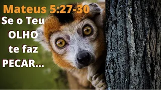 Se o teu olho e a tua mão te faz pecar - Mateus 5:29,30