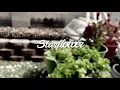 starflower - raveena | cover by flowrence