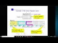 Class 14b Memory I Cache and Memory