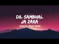 Download Lagu dil sambhal ja zara song lyrics