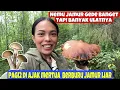 Download Lagu PAGI2 BERBURU JAMUR LIAR DI HUTAN UKRAINA || VLOG PEDESAAN UKRAINA 