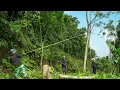 Download Lagu Officieel hout hakken, de grond voorbereiden om mijn droomhuisje te bouwen. - Ly Tieu Tuyet