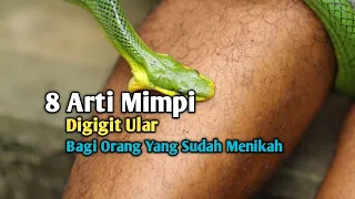 8 arti mimpi digigit ular bagi orang yang sudah menikah