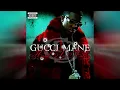 Gucci Mane - Freaky Gurl (Bass Boosted)