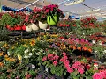 SUPER WALMART SUPERCENTER TOUR 2019 IN MILPITAS CALIFORNIA - Sieu Thi Walmart O My