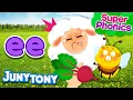 Super Phonics ee Song I See Three Sheep Phonics Song for Kids JunyTony
