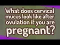 What does cervical mucus look like after ovulation if you are pregnant
