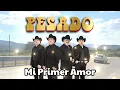 Pesado - Mi Primer Amor (Audio)