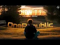 OneRepublic - Didn't I (LEVI4NO Remix)