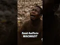 Download Lagu OBBY ALPHA NEW SONG NANI ANIFUTE MACHOZI #collinpascal