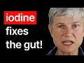 Download Lagu Fix The Microbiome: FASTEST Way To Repair Gut Health (Without Probiotics)