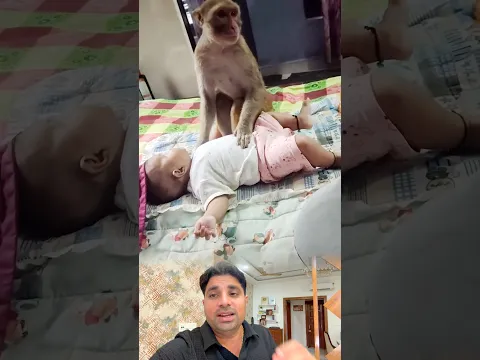 बच्चे और बंदर का ये अनोखा प्यार देखकर आँखें भर आएंगी | Hanuman Ansh ♥️🥹
